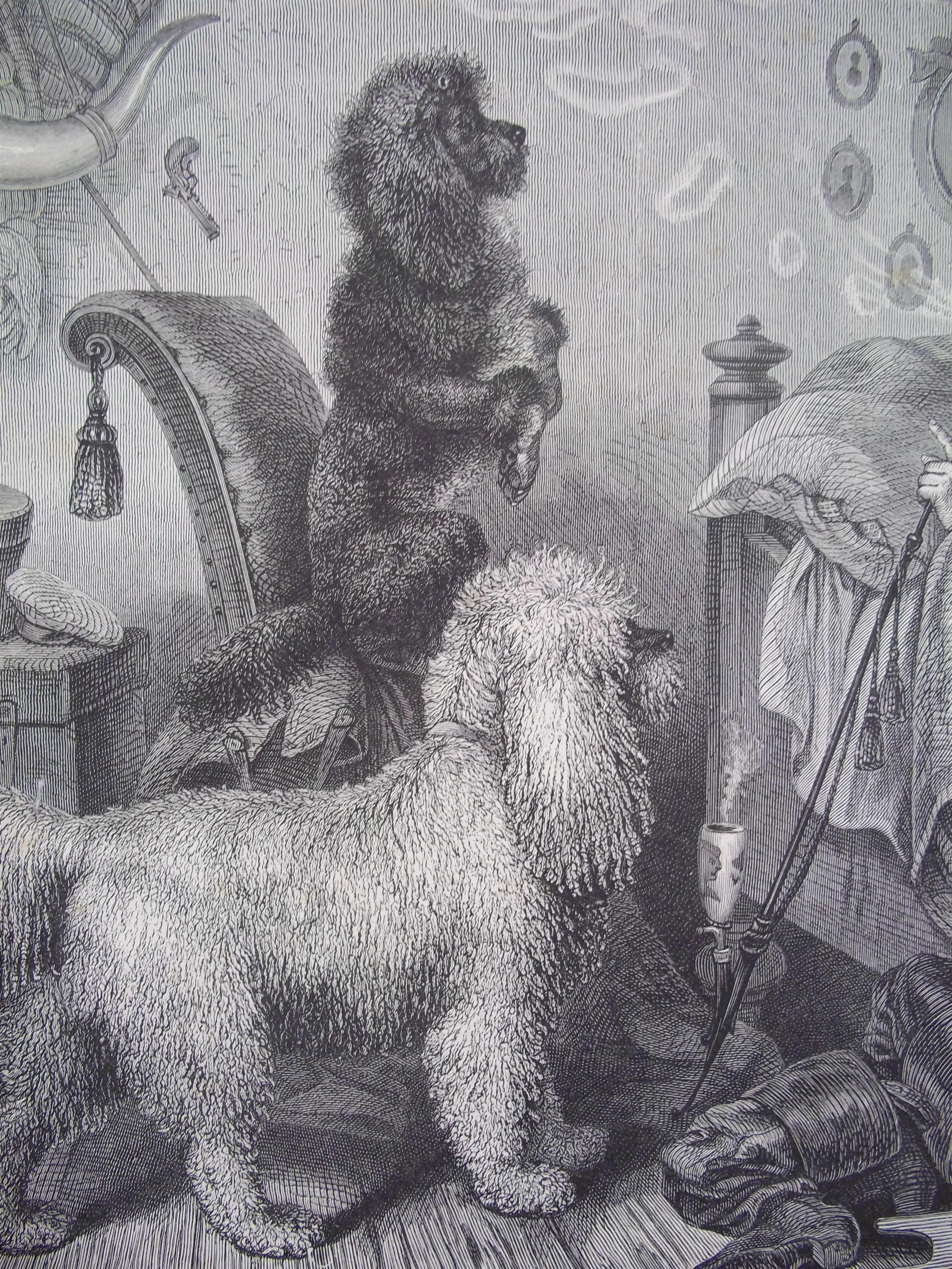 Picture from 'Illustrated Book of the Dog', by Vero Shaw (1890)